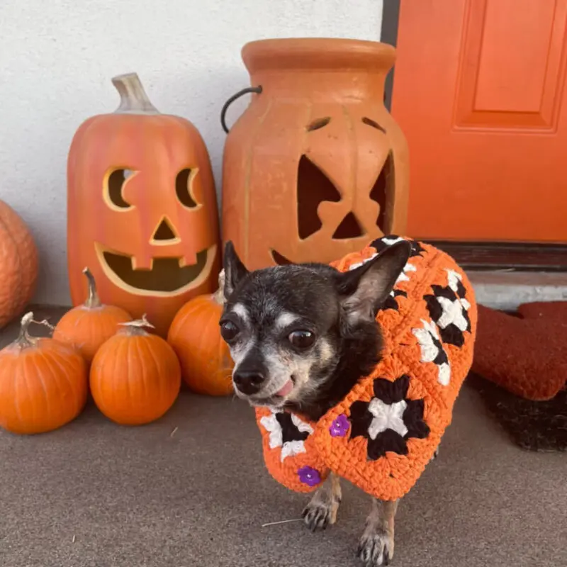 Halloween Custom Holiday Jacket