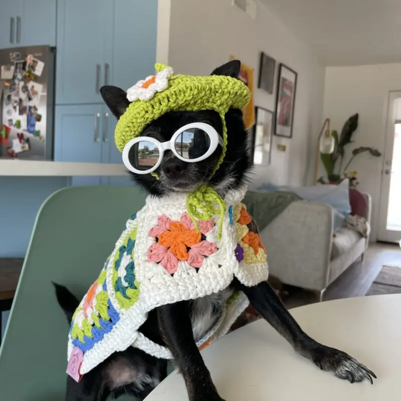 Crochet Beret